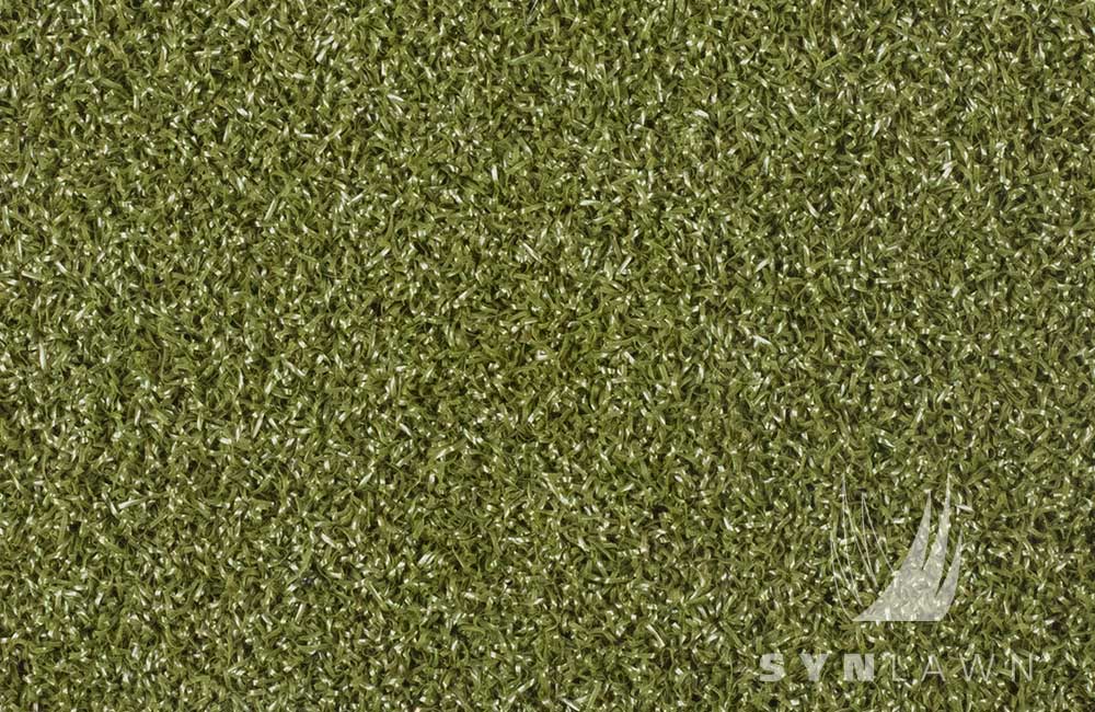 SYNLawn Golf Tee Strike